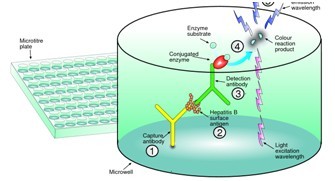 熒光定量微孔板技術(shù)平臺